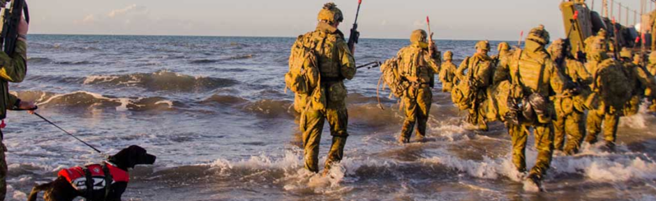 Military troops on patrol